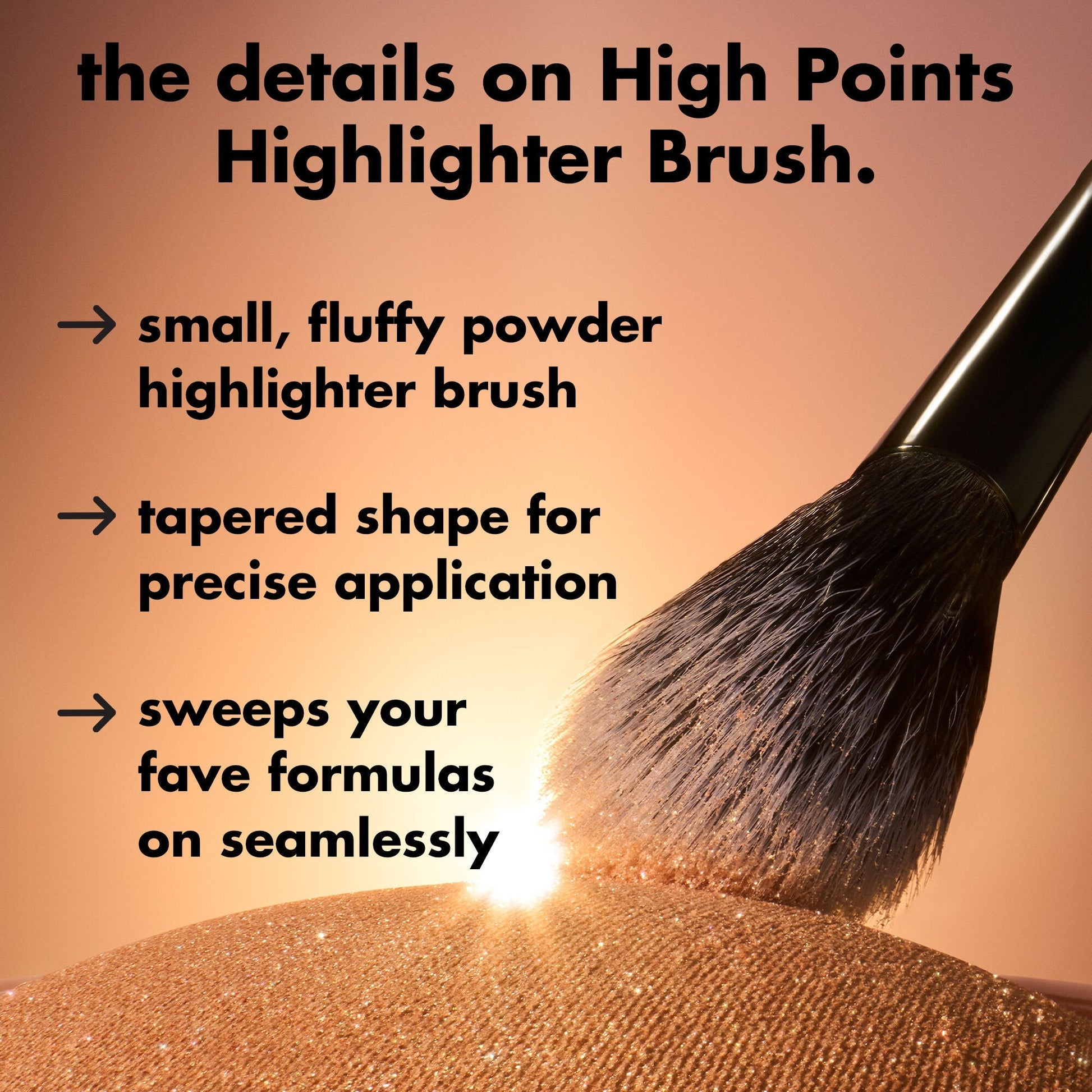high-points-highlighter-brush-v2 0226_EDU_HighpointsHighlighterBrush_Details.jpg