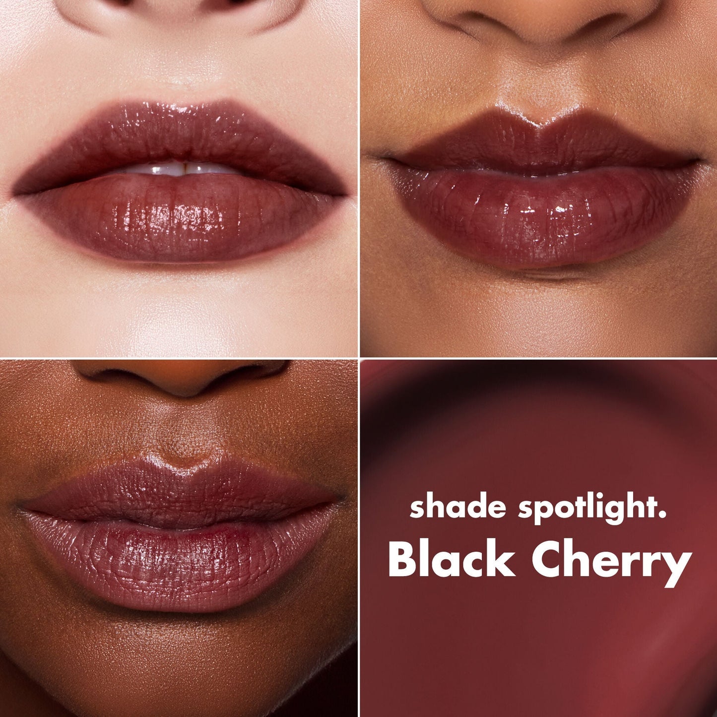 lip-lacquer-g4 0426_EDU_LipLaquer_ShadeChart_BlackCherry.jpg