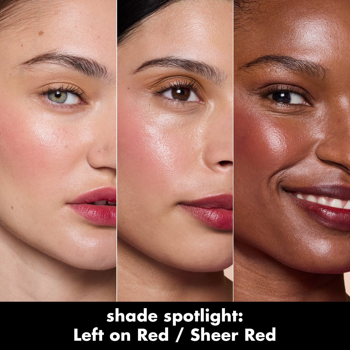 sheer-for-it-blush-tint-b1 0526_SEO_SheerForIt_ShadeSpotlight_LeftOnRed.jpg